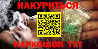 стаф Дубна