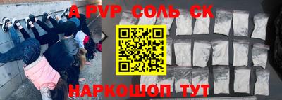 стаф Дубна