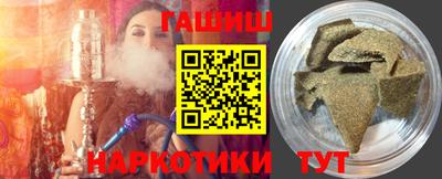 стаф Дубна
