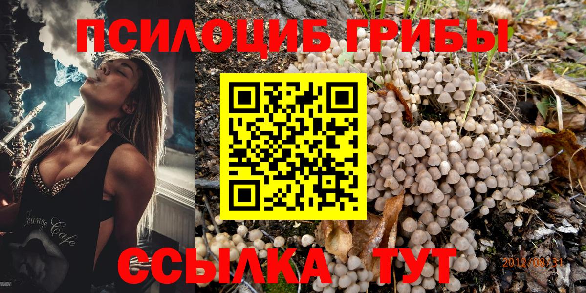Галлюциногенные грибы мухоморы  Вход с VPN  даркнет сайт  Москва  Галлюциногенные грибы MAGIC MUSHROOMS 